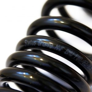 BMW E46 M3 01-06 Lowering Spring kit